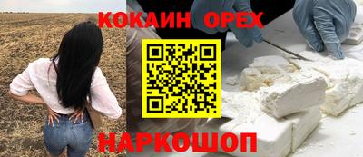 стаф Краснодар